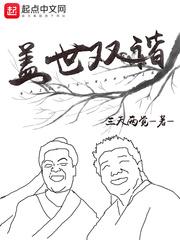 盖世双谐境界划分