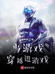 当游戏穿越进游戏笔趣阁强制