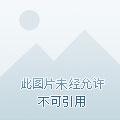 普罗之主TXT