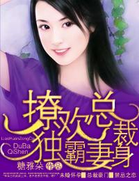 撩妻总裁轻轻宠全文免费